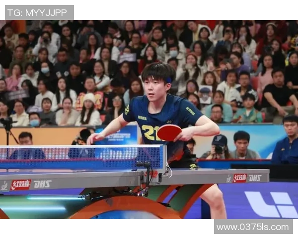 乒乓球的魅力与挑战:深入探讨南京乒乓球队的转型与发展之路