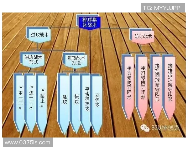 南京排球队进攻战术深度解析与实战应用探讨