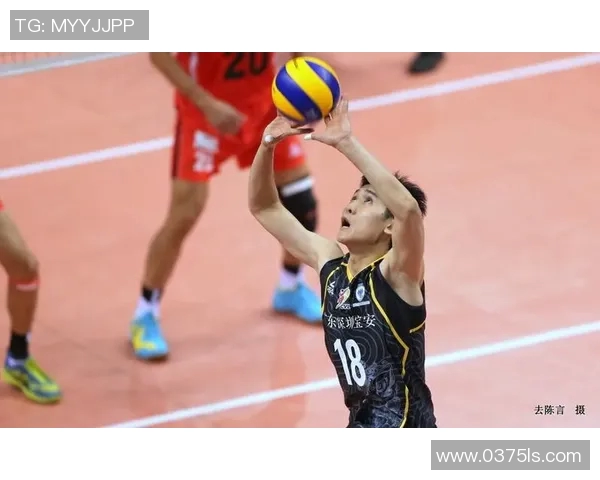 上海篮球队强势领跑大满贯积分榜以58分领先众队伍